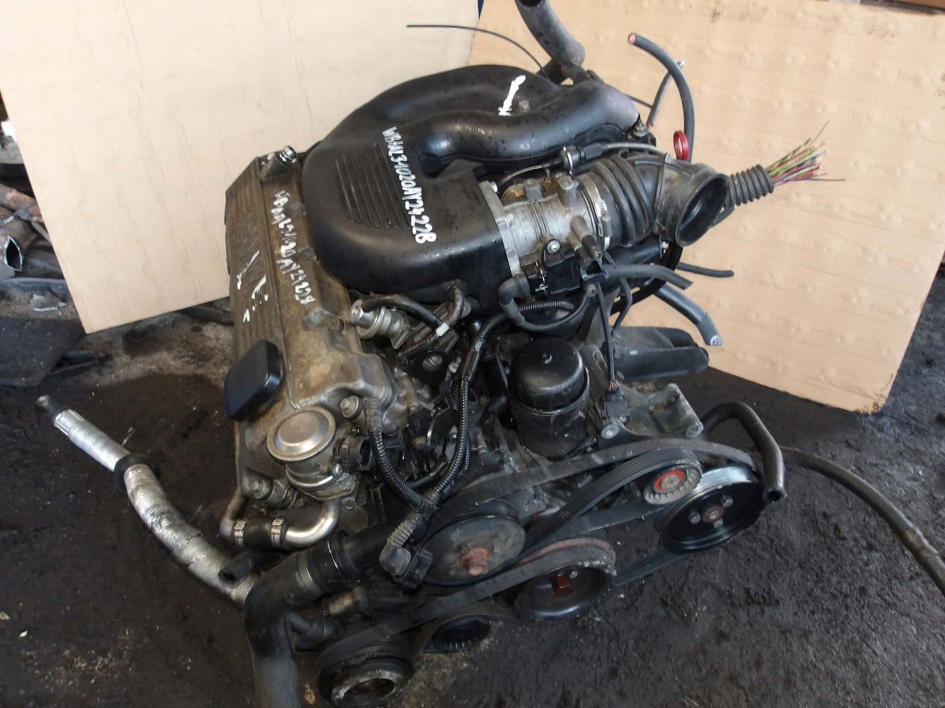 Moteur M43 B19 (194E1) vue 4