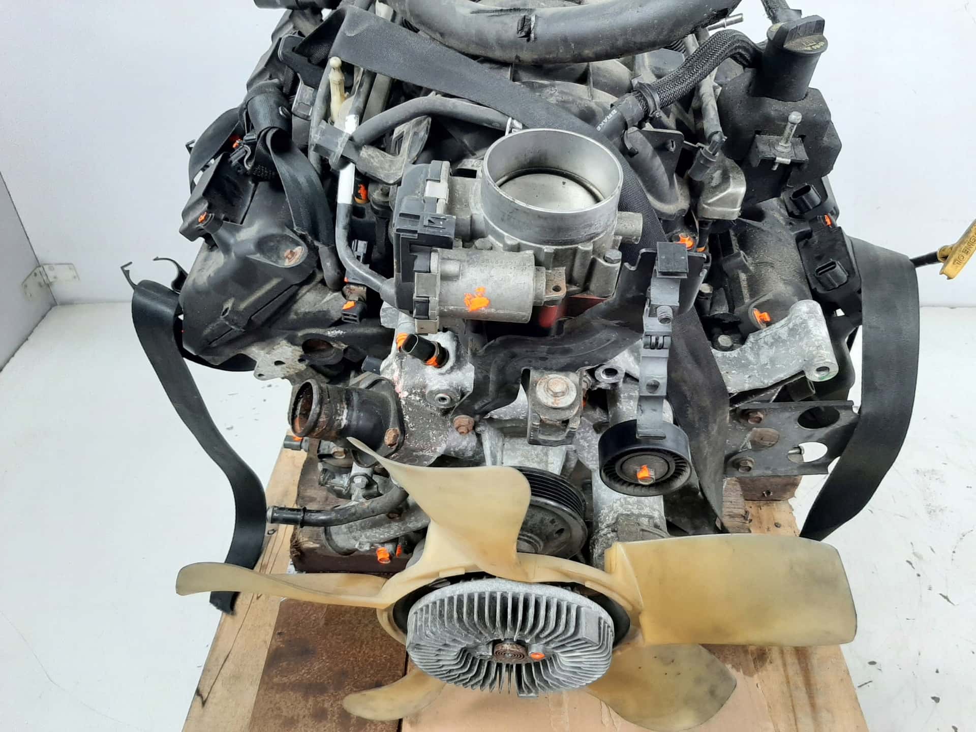 Moteur EZH vue 2