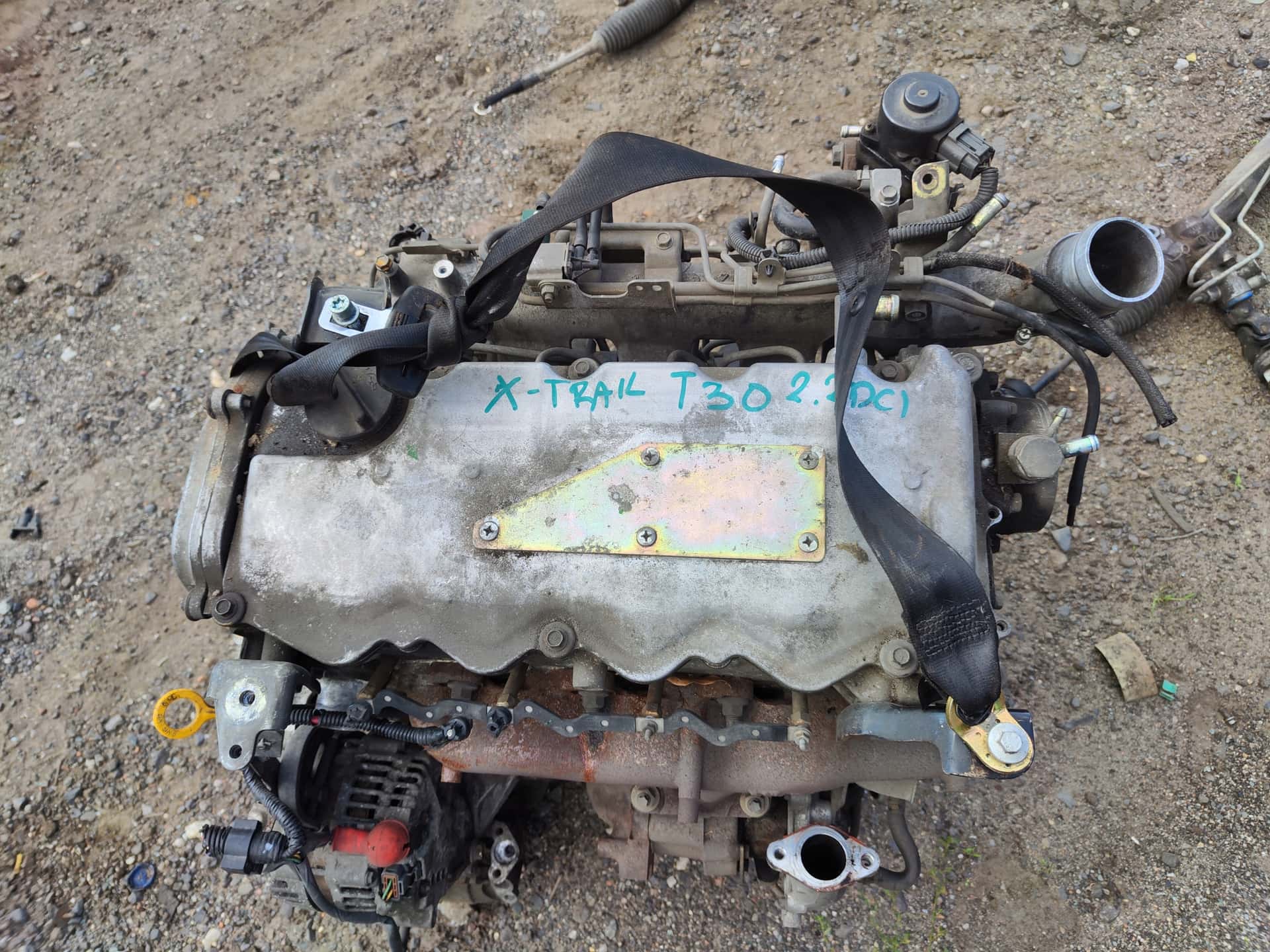 Moteur YD22DDTi vue 6