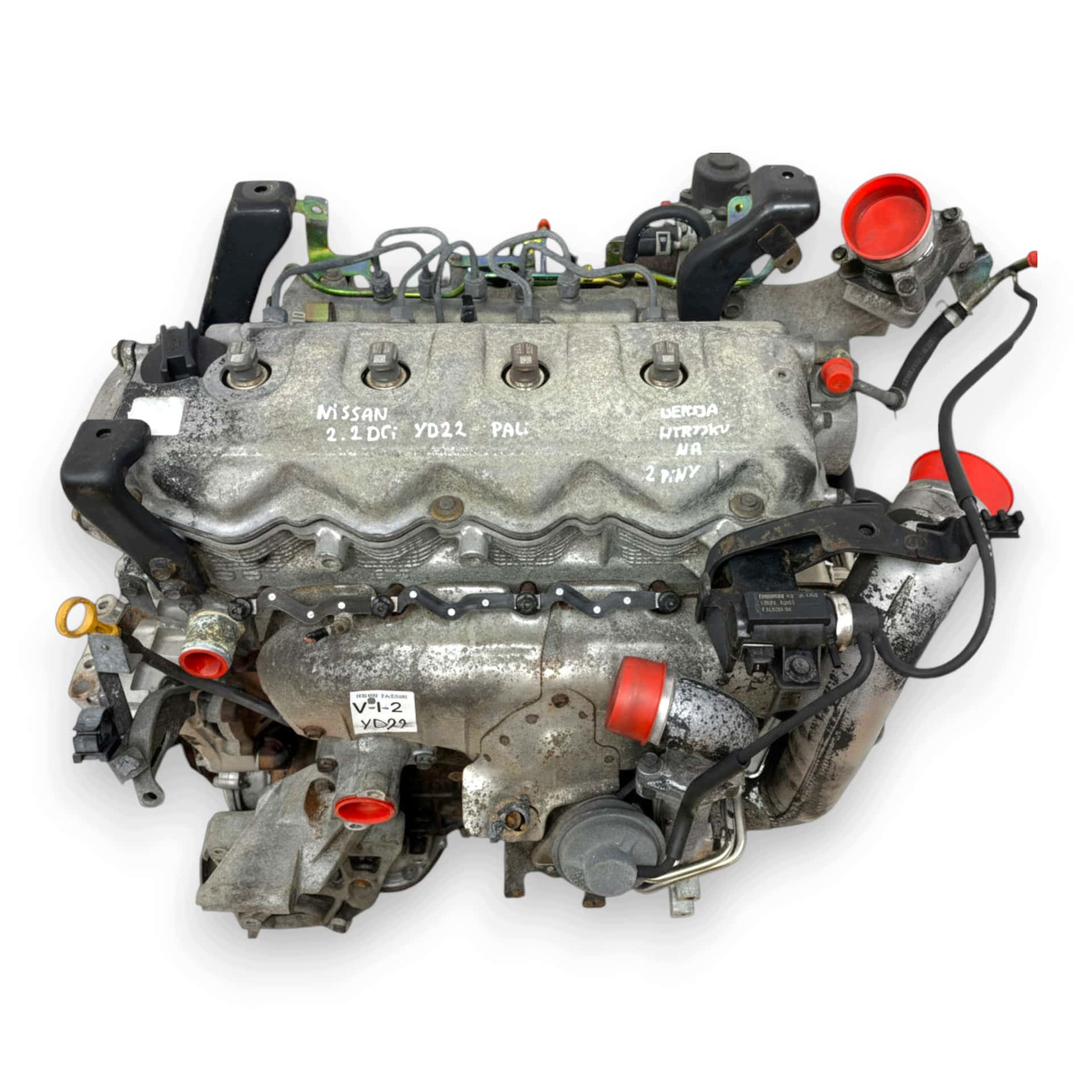 Moteur YD22DDTi vue 3