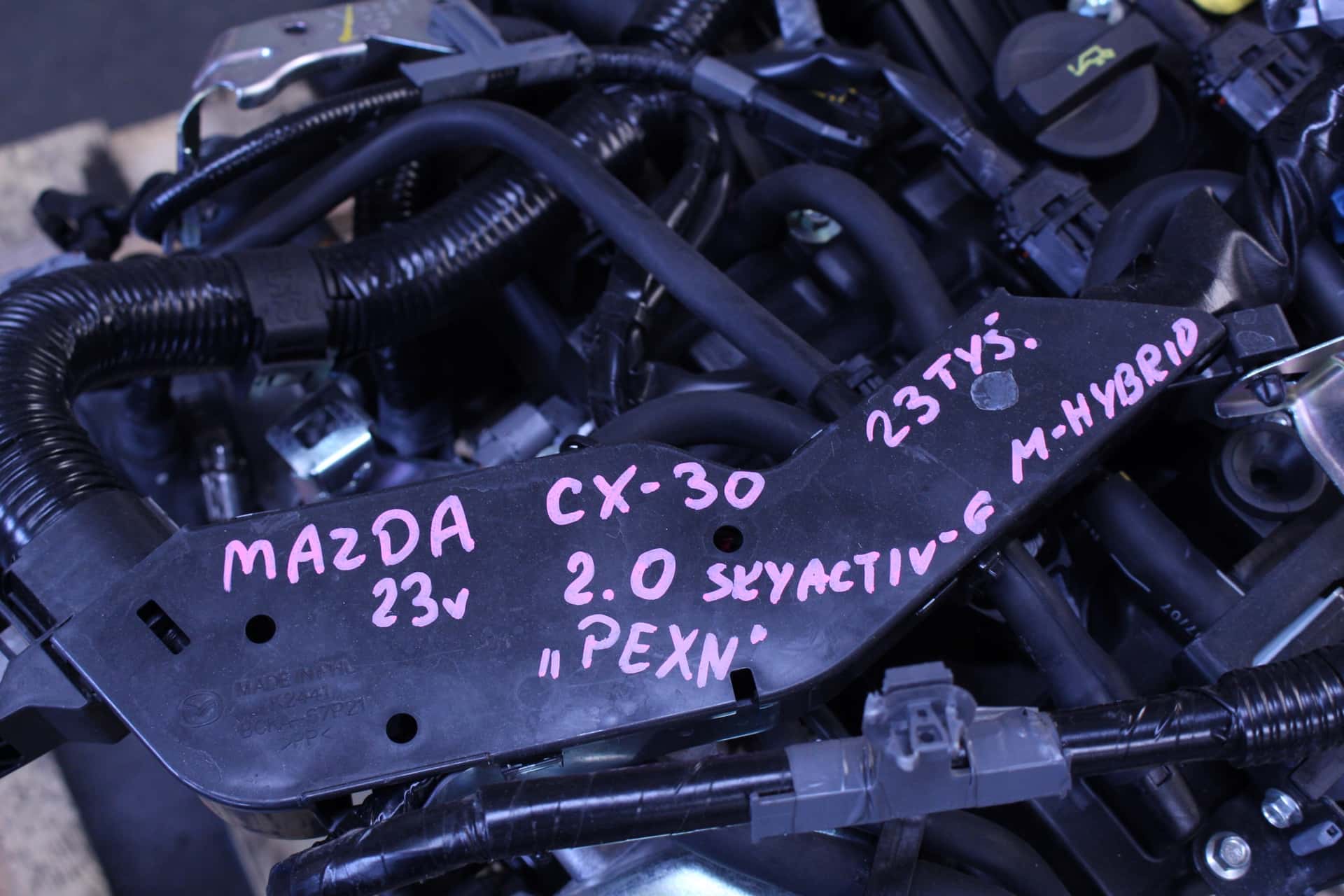 Moteur PEXN vue 5