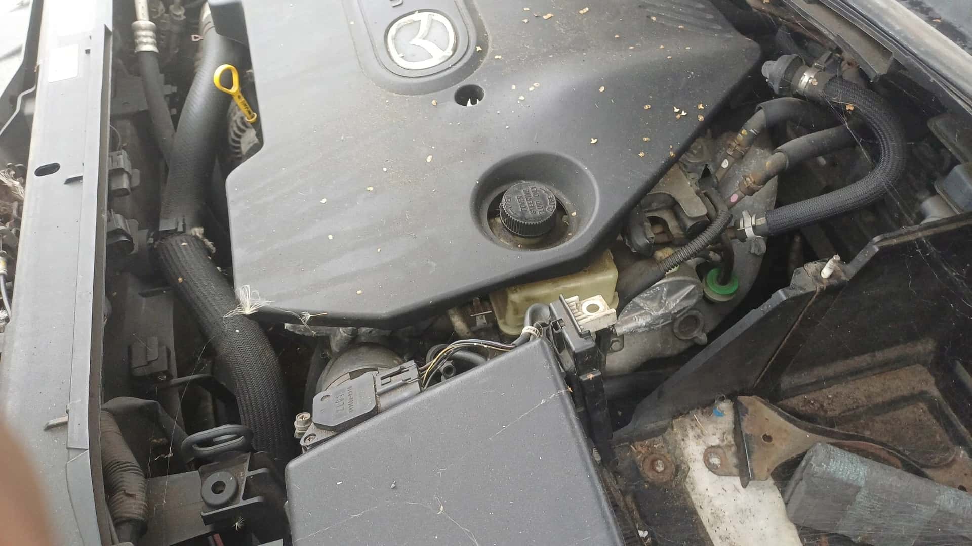 Moteur RF7J vue 2