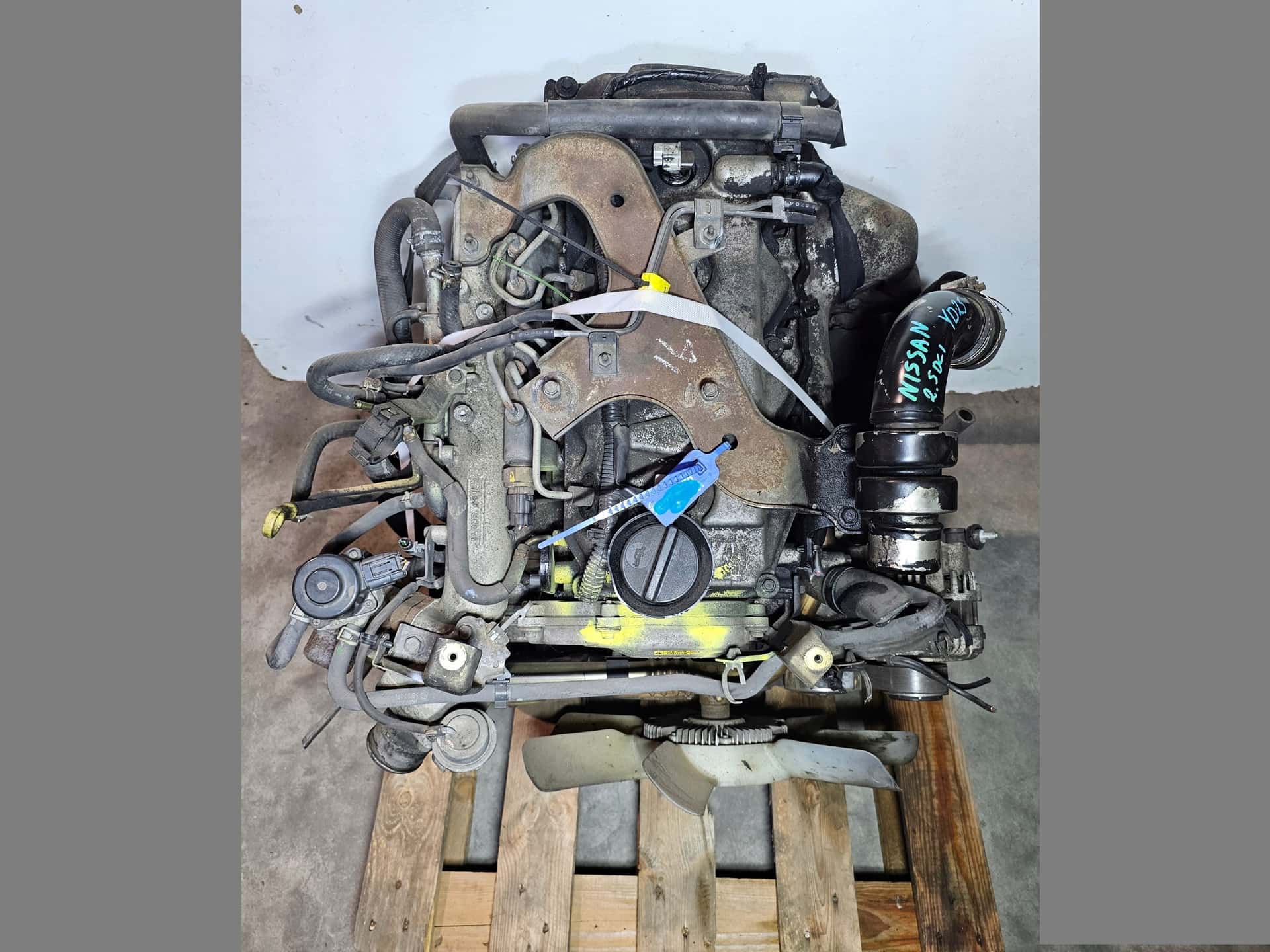 Moteur YD25DDTi vue 4