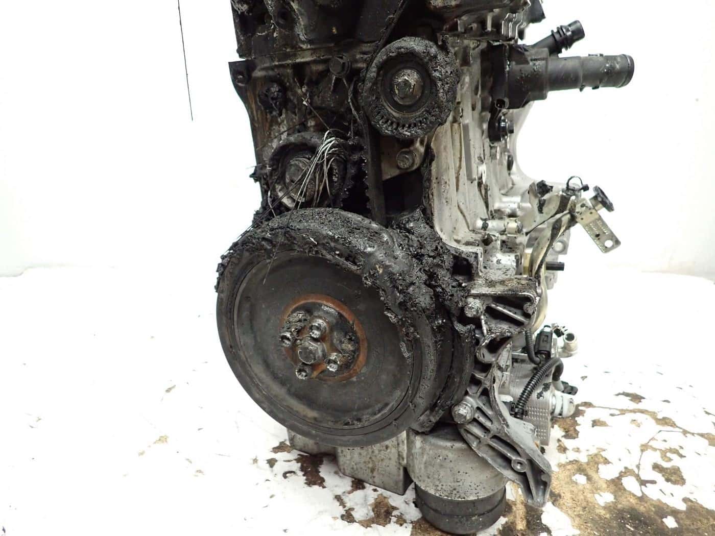 Moteur B 4204 T52 vue 9