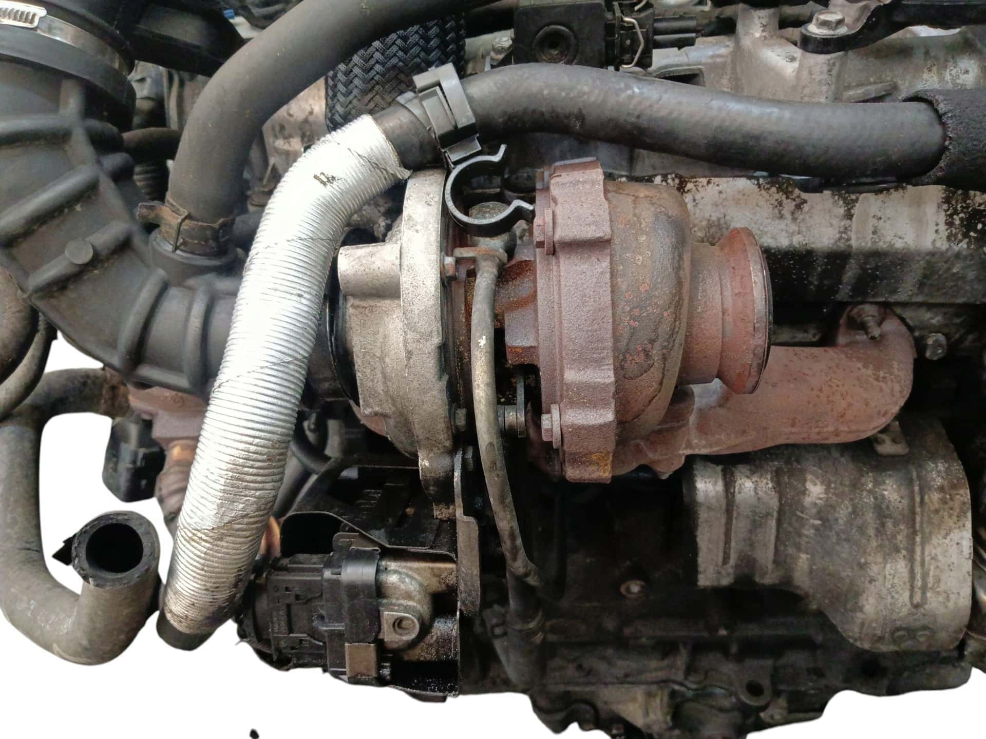 Moteur Z 20 DMH vue 9