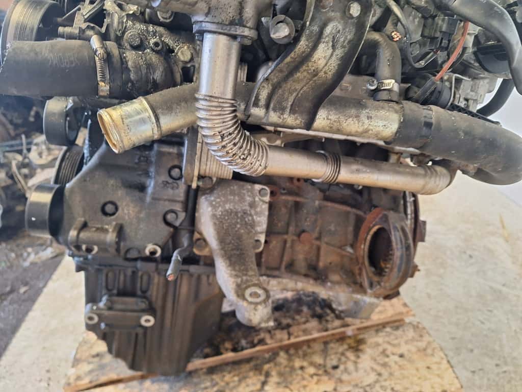 Moteur D20DTR vue 8