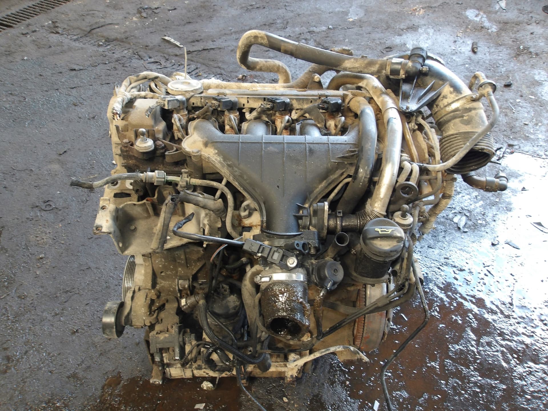 Moteur RHK (DW10UTED4) - Image 1