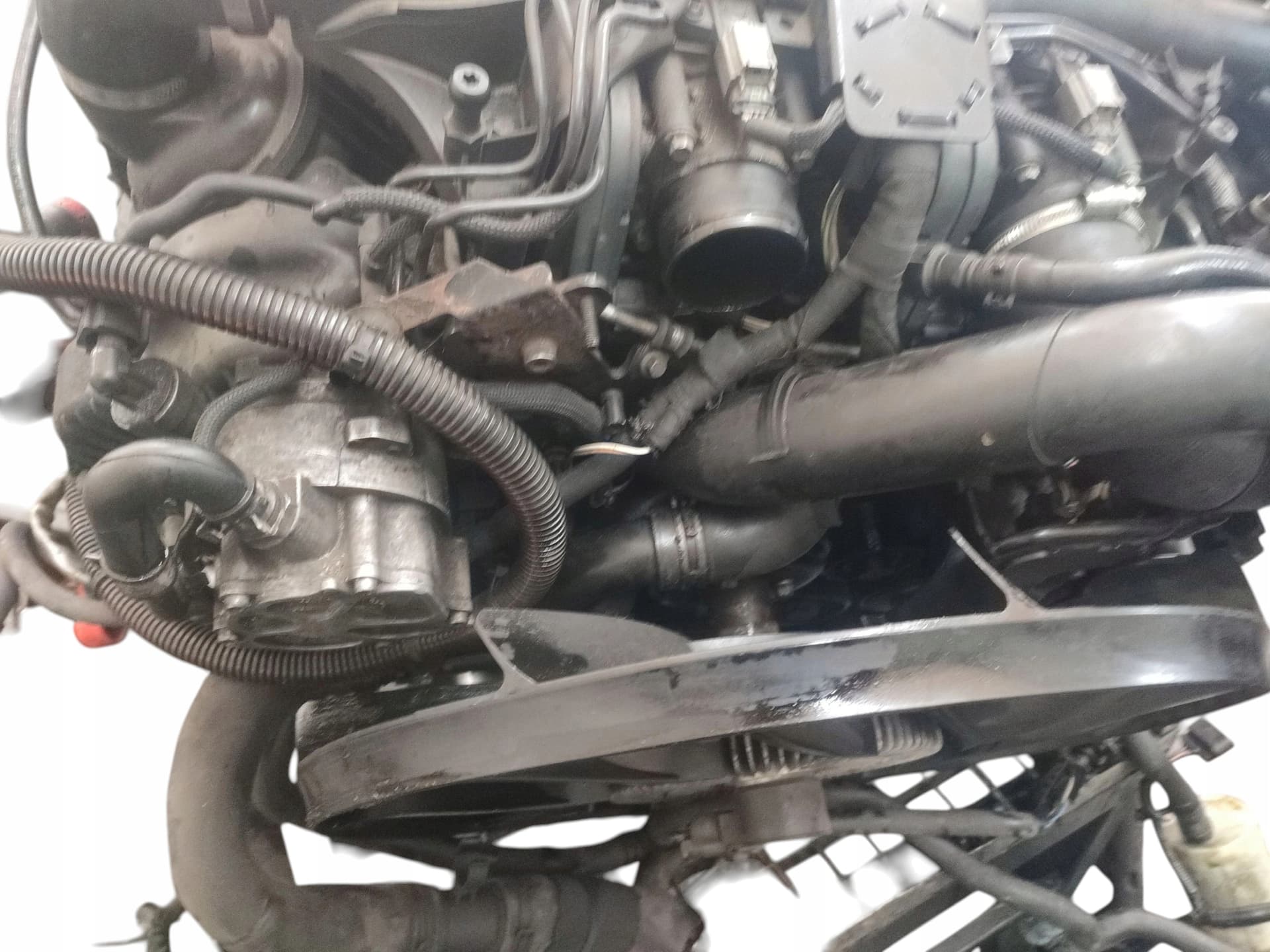 Moteur 368DT(LION) — vue 4