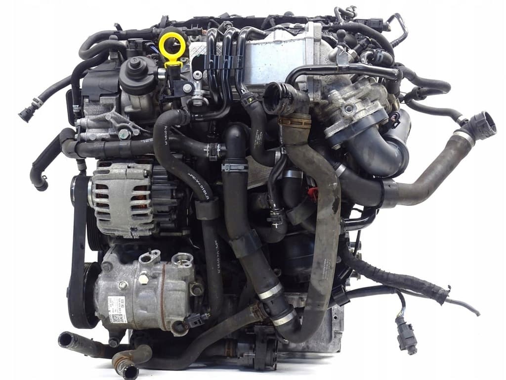 Moteur CXMA pour Skoda Rapid 1.6 Diesel