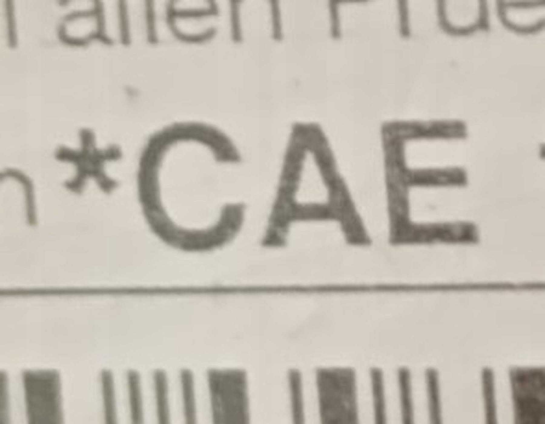 Moteur CAEB — vue 3
