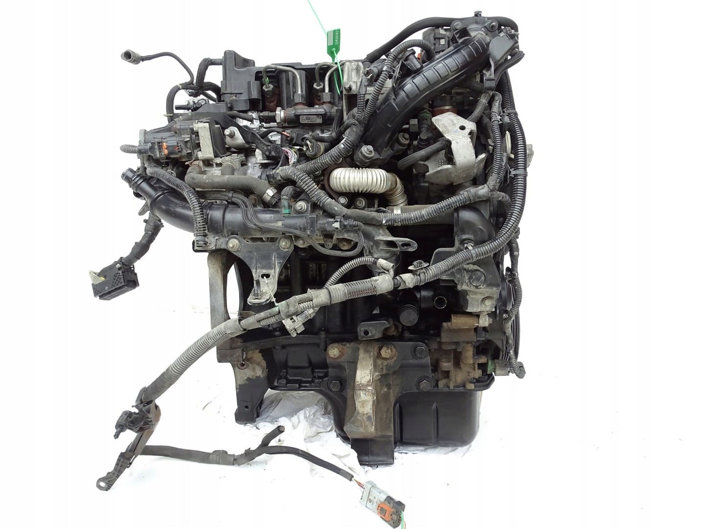 Moteur D 15 DTH (DV5RC) — vue 8