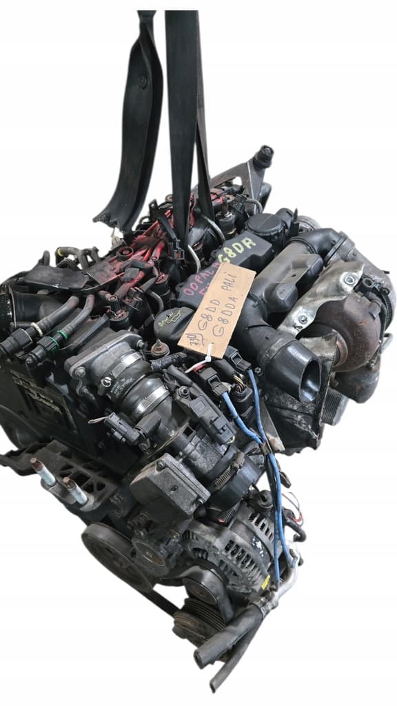 Moteur G8DD pour Ford Focus