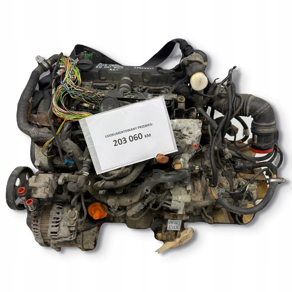 Moteur RHX pour Fiat Scudo