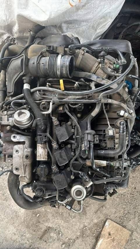 Moteur YYJG pour Ford Fiesta 1.0 Petrol