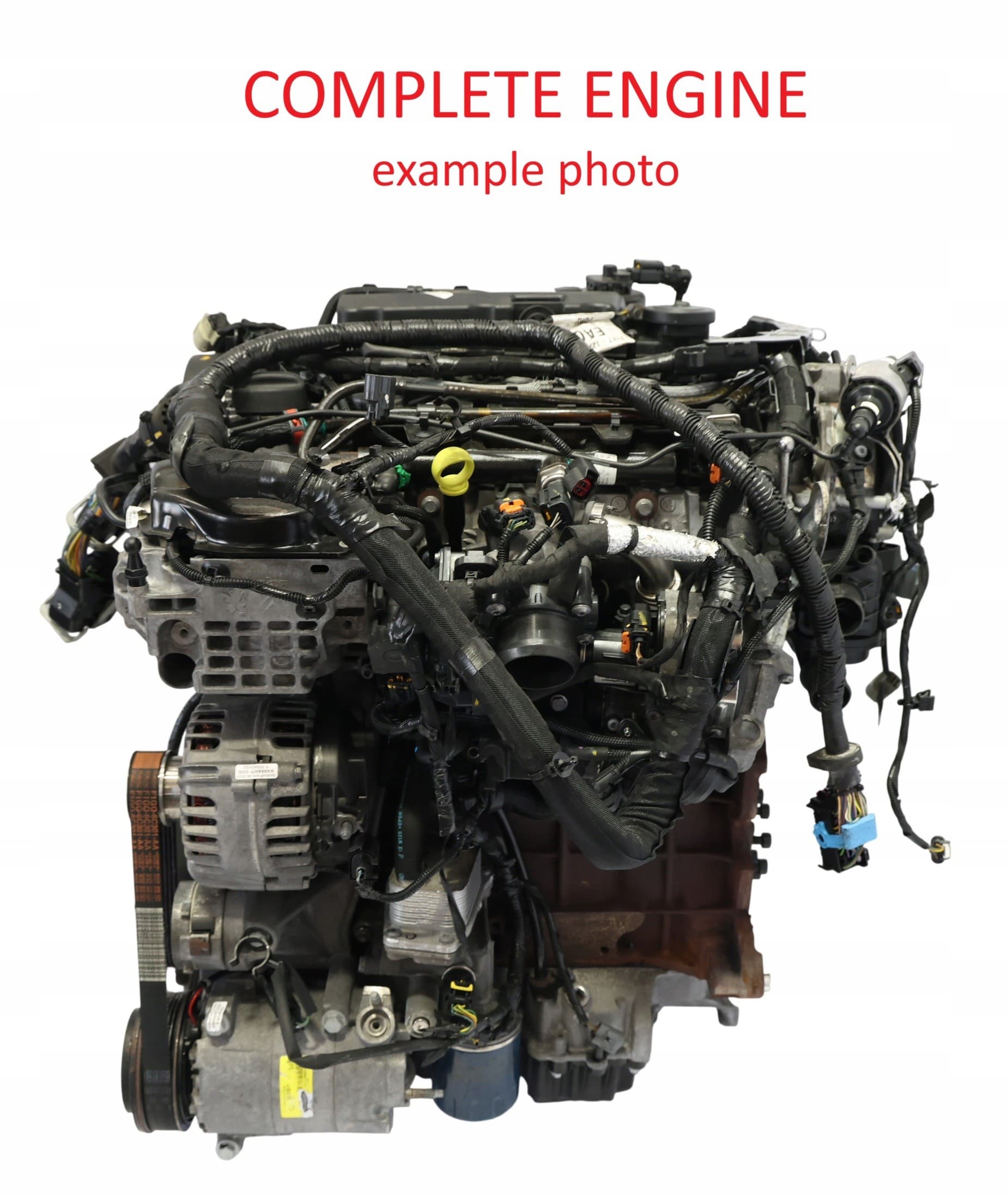 Moteur T8DA pour Ford Focus 2.0 Diesel