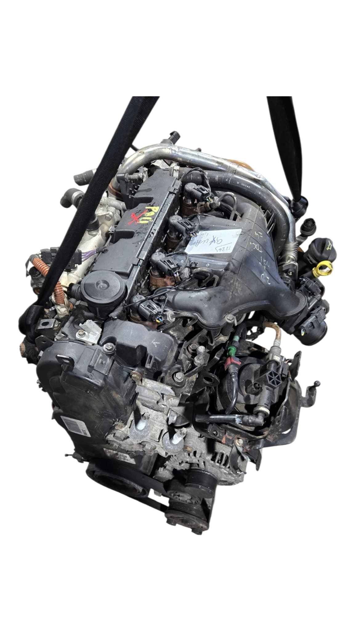 Moteur QXWB pour Ford